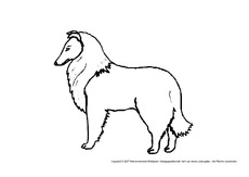 Collie.pdf